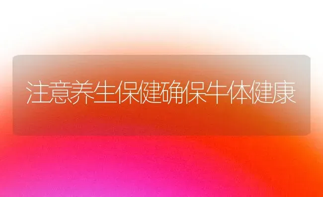 注意养生保健确保牛体健康 | 养殖技术大全