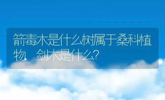 箭毒木是什么树属于桑科植物,剑木是什么？ | 养殖科普
