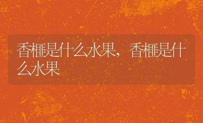 香榧是什么水果,香榧是什么水果 | 养殖科普