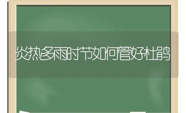 炎热多雨时节如何管好杜鹃 | 养殖知识