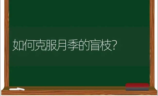 如何克服月季的盲枝? | 养殖技术大全