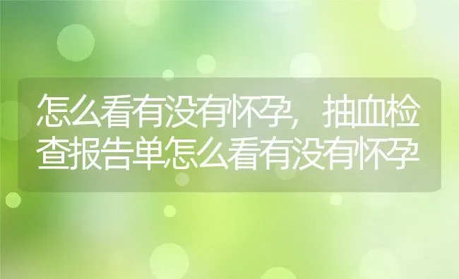 怎么看有没有怀孕,抽血检查报告单怎么看有没有怀孕 | 养殖科普