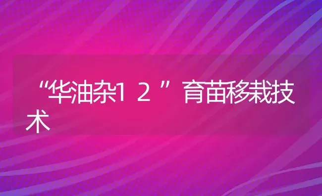 “华油杂12”育苗移栽技术 | 养殖知识