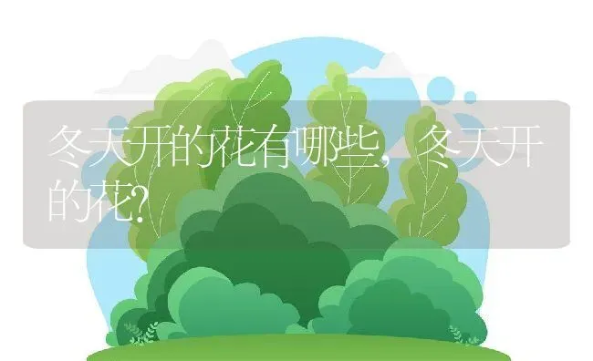 冬天开的花有哪些,冬天开的花？ | 养殖科普