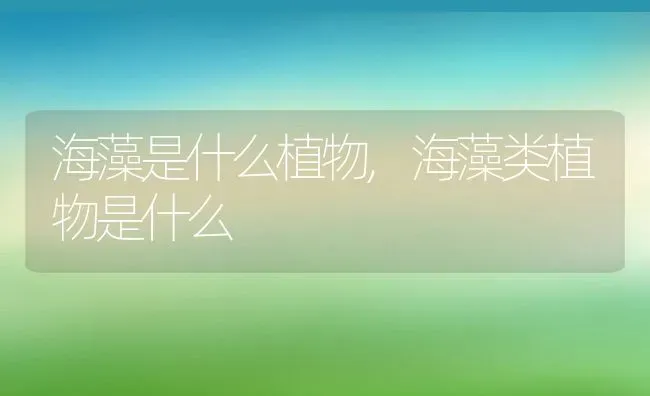 海藻是什么植物,海藻类植物是什么 | 养殖学堂