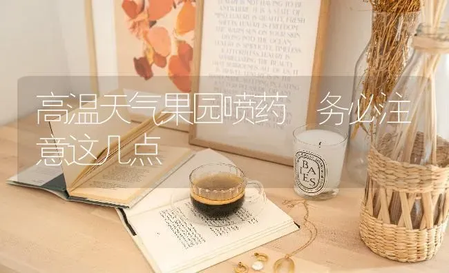 预防辣椒旺长以水控棵要有度 | 养殖技术大全