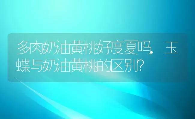 多肉奶油黄桃好度夏吗,玉蝶与奶油黄桃的区别？ | 养殖科普