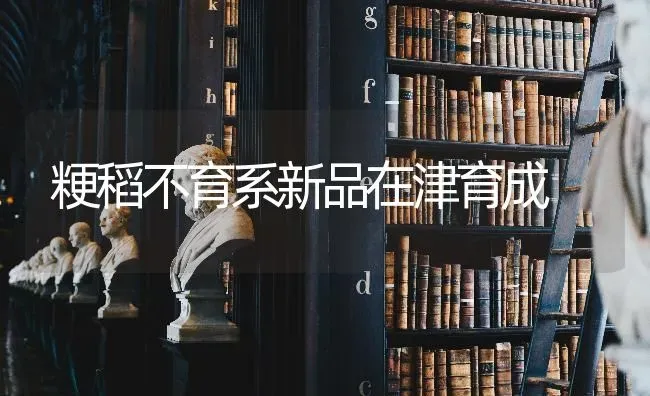 粳稻不育系新品在津育成 | 养殖知识