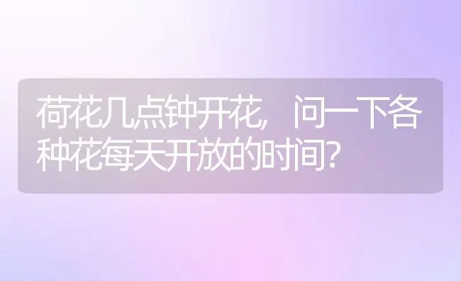 荷花几点钟开花,问一下各种花每天开放的时间？ | 养殖科普