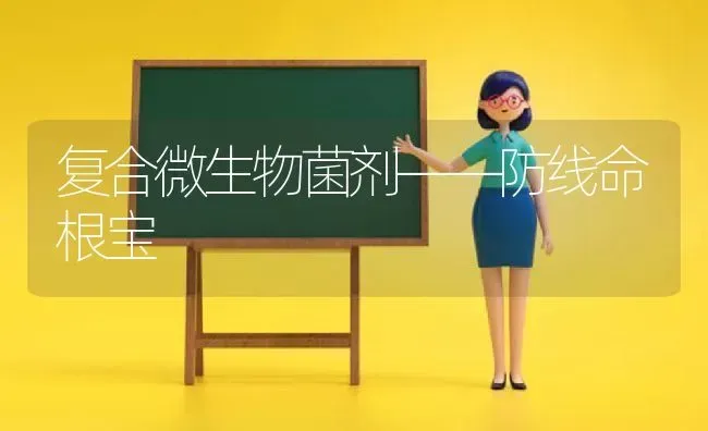 复合微生物菌剂——防线命根宝 | 养殖技术大全
