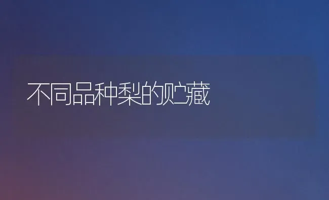 不同品种梨的贮藏 | 养殖知识