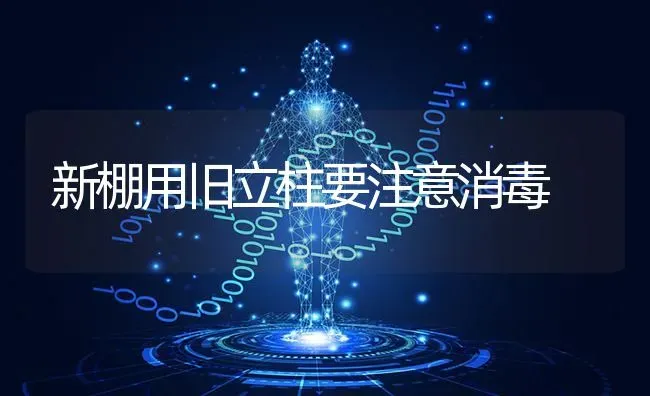 新棚用旧立柱要注意消毒 | 养殖知识