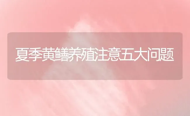夏季黄鳝养殖注意五大问题 | 养殖知识