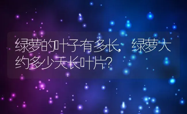 绿萝的叶子有多长,绿萝大约多少天长叶片？ | 养殖科普