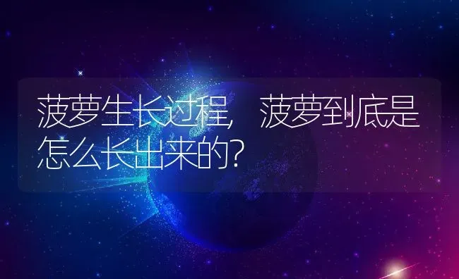 菠萝生长过程,菠萝到底是怎么长出来的？ | 养殖科普