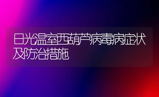 日光温室西葫芦病毒病症状及防治措施 | 养殖技术大全