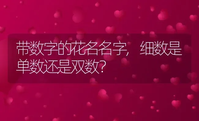 带数字的花名名字,细数是单数还是双数？ | 养殖科普