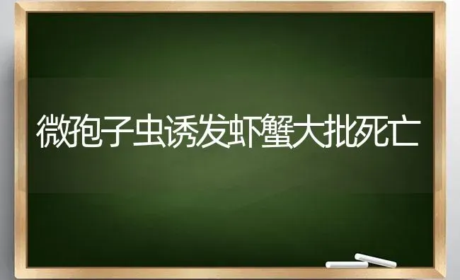 微孢子虫诱发虾蟹大批死亡 | 养殖知识