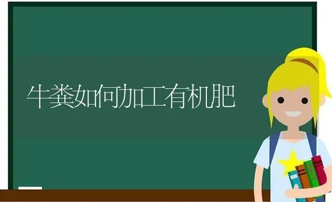 牛粪如何加工有机肥 | 养殖技术大全