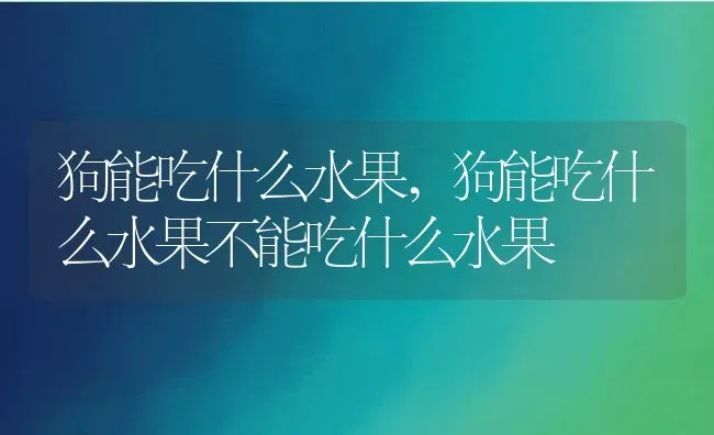 狗能吃什么水果,狗能吃什么水果不能吃什么水果 | 养殖资料