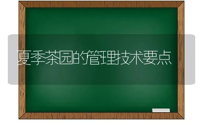 夏季茶园的管理技术要点 | 养殖知识