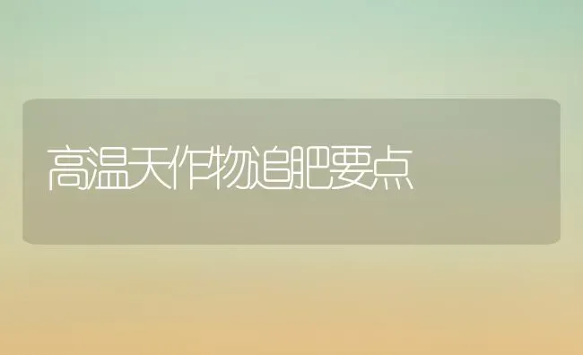 高温天作物追肥要点 | 养殖技术大全