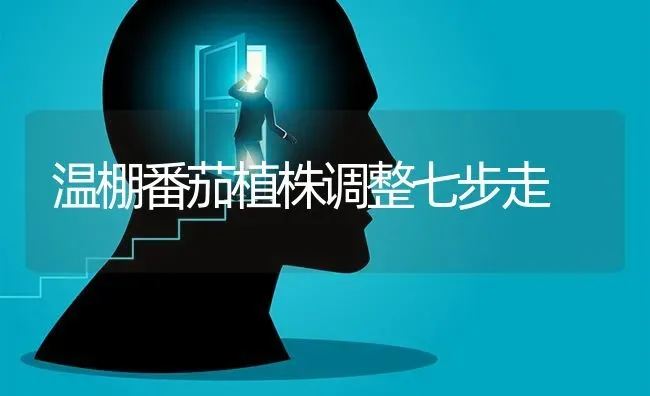 温棚番茄植株调整七步走 | 养殖知识