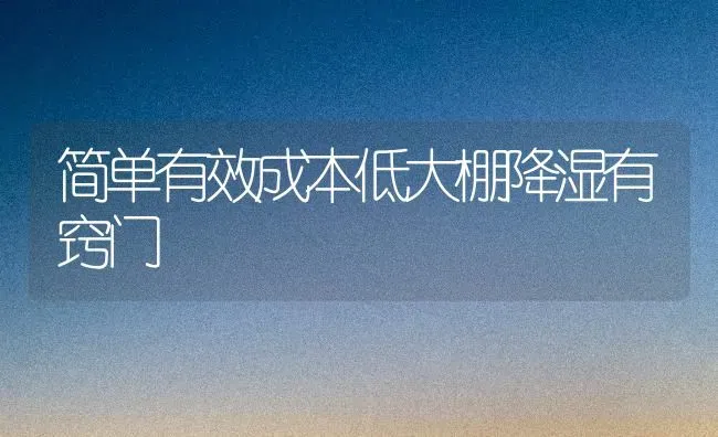 简单有效成本低大棚降湿有窍门 | 养殖技术大全