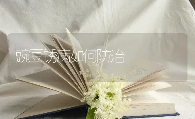 豌豆锈病如何防治 | 养殖技术大全