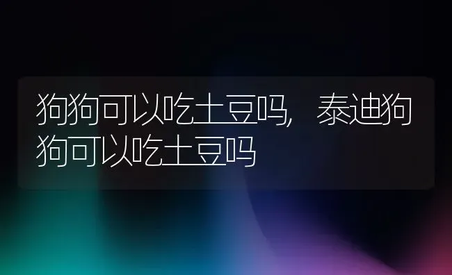 狗狗可以吃土豆吗,泰迪狗狗可以吃土豆吗 | 养殖科普