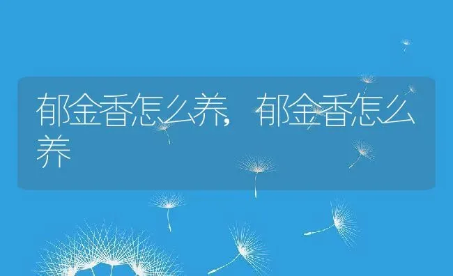 郁金香怎么养,郁金香怎么养 | 养殖科普