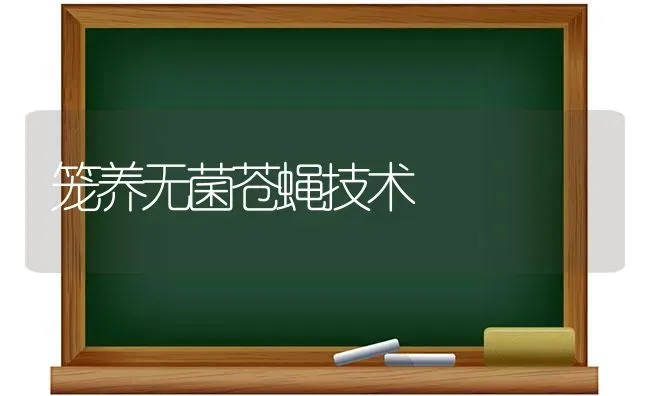 笼养无菌苍蝇技术 | 养殖技术大全