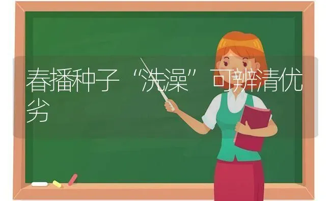 春播种子“洗澡”可辨清优劣 | 养殖知识