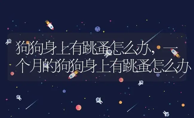 狗狗身上有跳蚤怎么办,一个月的狗狗身上有跳蚤怎么办 | 养殖科普