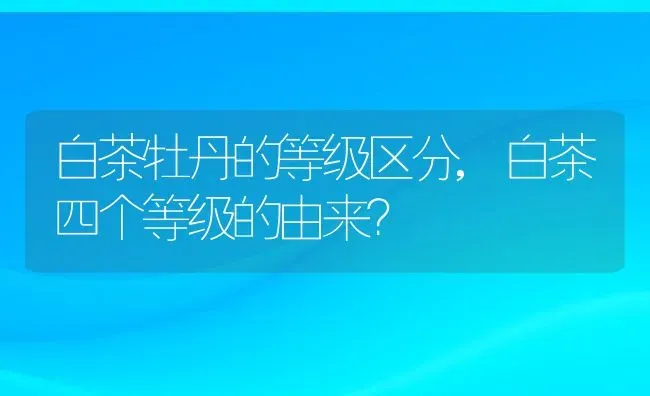 白茶牡丹的等级区分,白茶四个等级的由来？ | 养殖科普