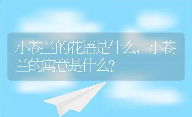 小苍兰的花语是什么,小苍兰的寓意是什么？ | 养殖学堂