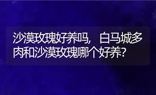 沙漠玫瑰好养吗,白马城多肉和沙漠玫瑰哪个好养？ | 养殖学堂