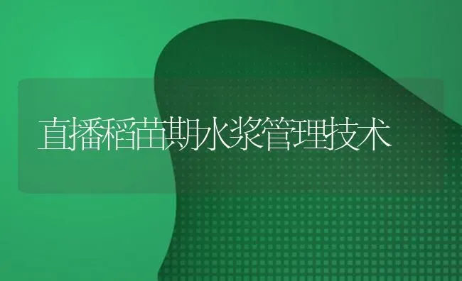 直播稻苗期水浆管理技术 | 养殖知识