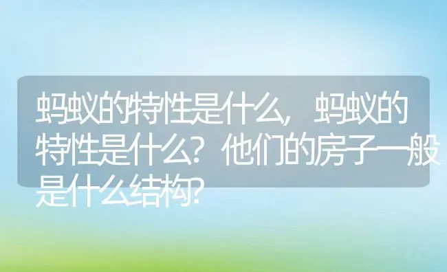 蚂蚁的特性是什么,蚂蚁的特性是什么?他们的房子一般是什么结构? | 养殖资料