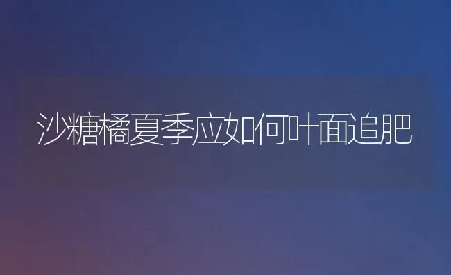 沙糖橘夏季应如何叶面追肥 | 养殖技术大全