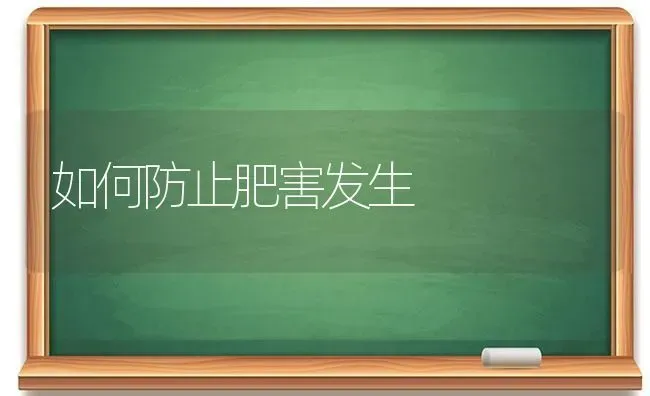 如何防止肥害发生 | 养殖技术大全