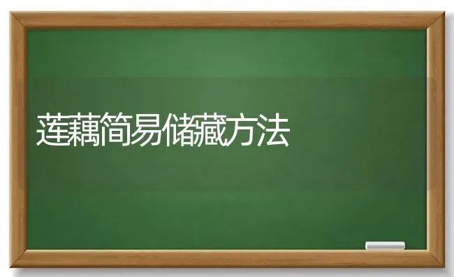 莲藕简易储藏方法 | 养殖知识