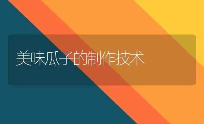 美味瓜子的制作技术 | 养殖技术大全