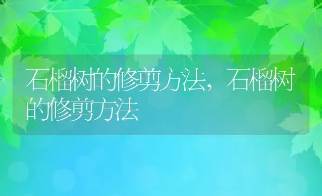 石榴树的修剪方法,石榴树的修剪方法 | 养殖科普