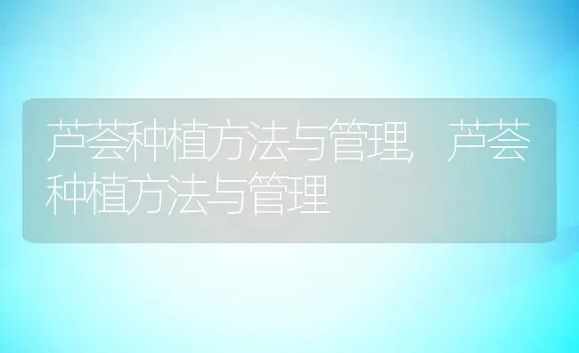 蟒蛇有牙齿吗,蟒蛇有牙齿吗图片 | 养殖科普
