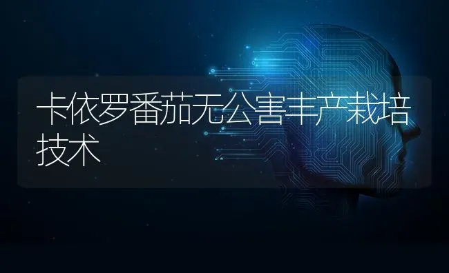 卡依罗番茄无公害丰产栽培技术 | 养殖技术大全