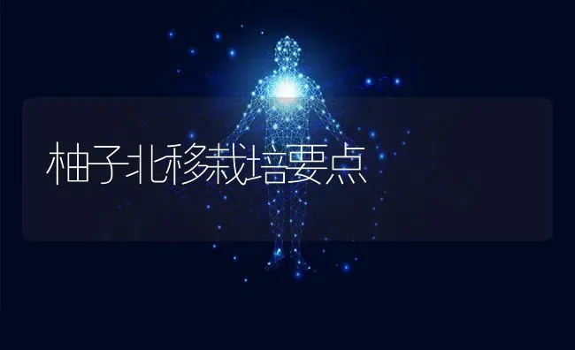 柚子北移栽培要点 | 养殖技术大全