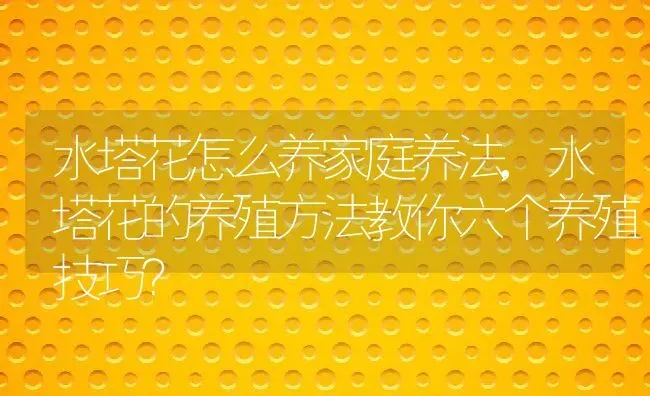 水塔花怎么养家庭养法,水塔花的养殖方法教你六个养殖技巧？ | 养殖科普