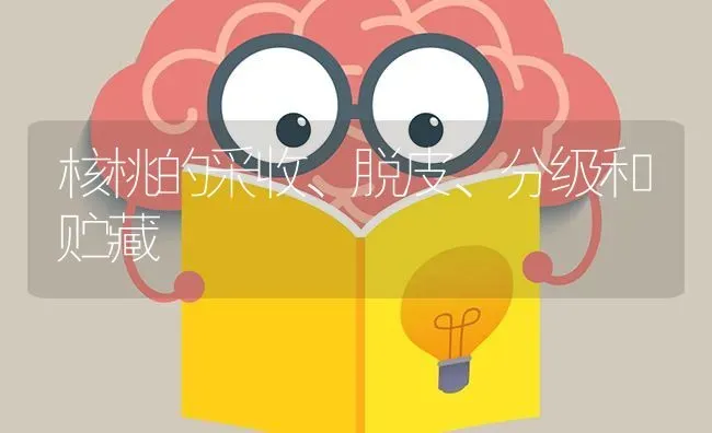 核桃的采收、脱皮、分级和贮藏 | 养殖知识