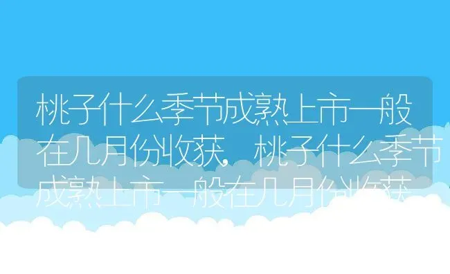 桃子什么季节成熟上市一般在几月份收获,桃子什么季节成熟上市一般在几月份收获 | 养殖科普